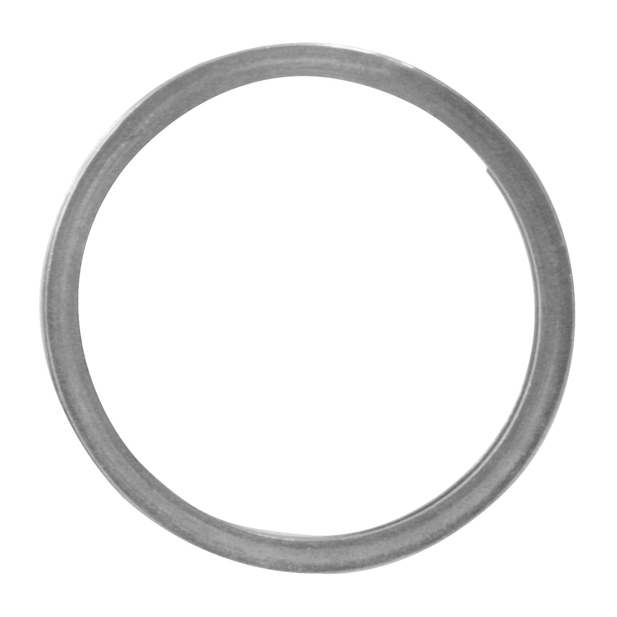 Washer for Beauty Ring