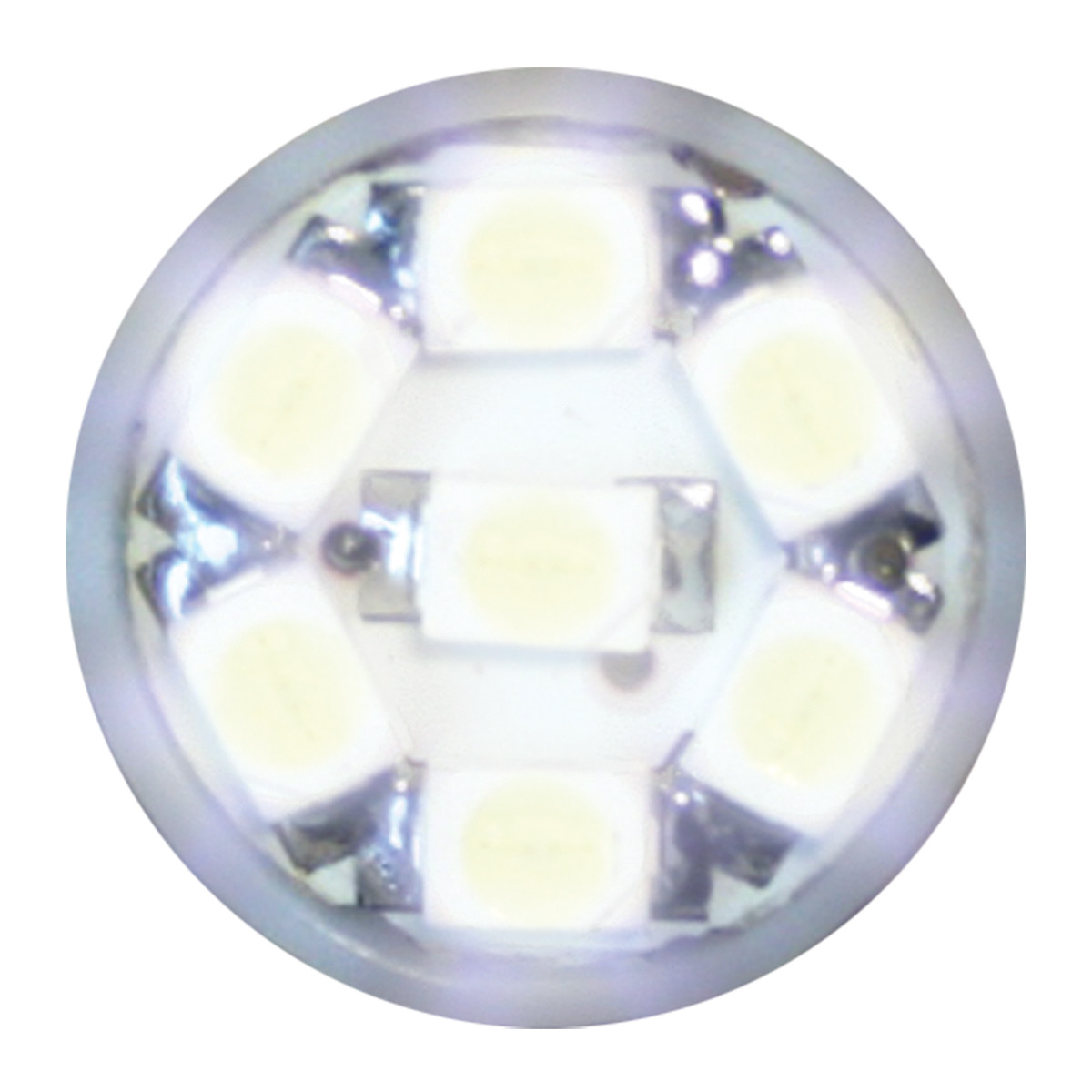 194/168 Dome Type 7 LED Light Bulb