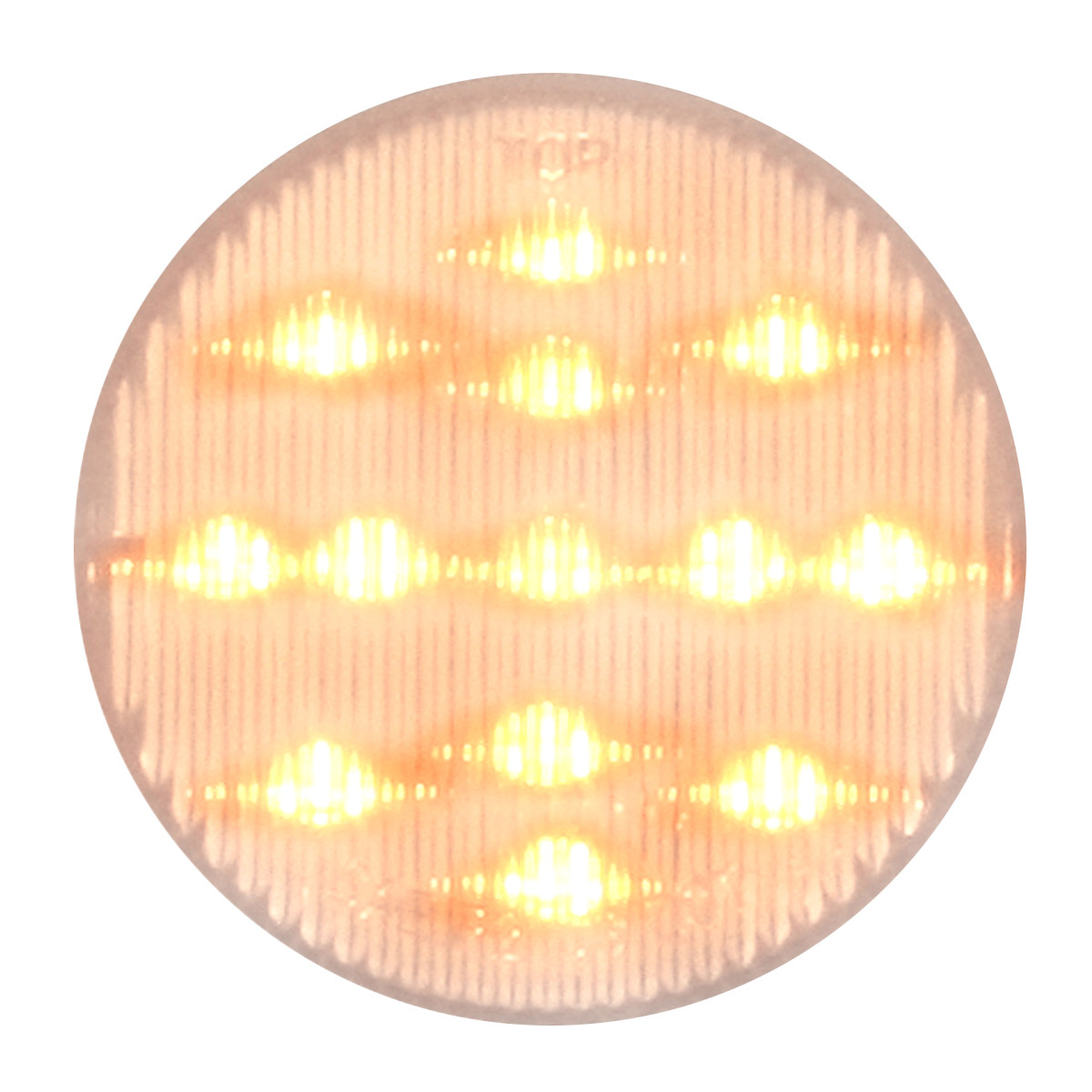 Fleet Series 2-1/2" LED Light