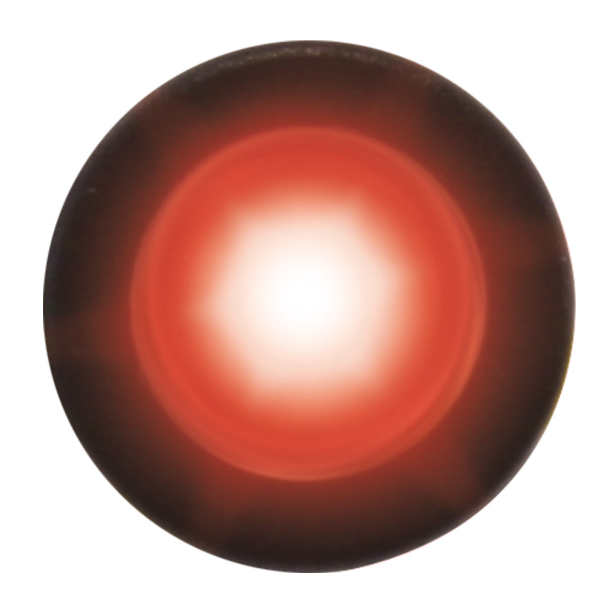 Interior Single LED Snake Light - Thumbnail 5