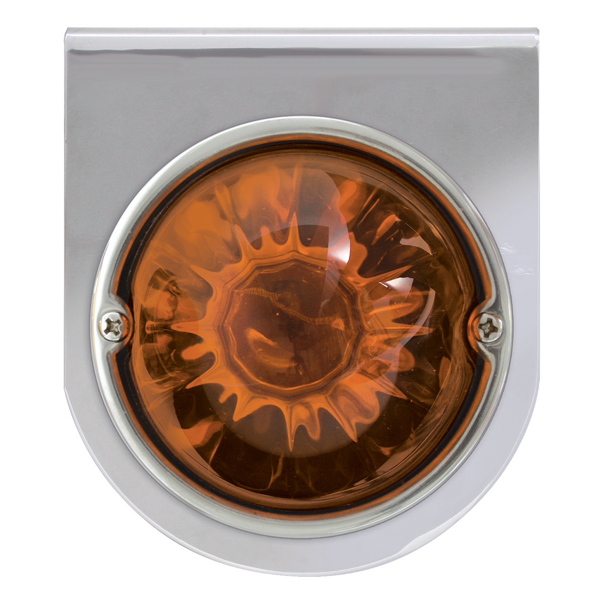 Stainless Steel L Bracket w/ Single 3-1/2" Round Light, Dual Functions