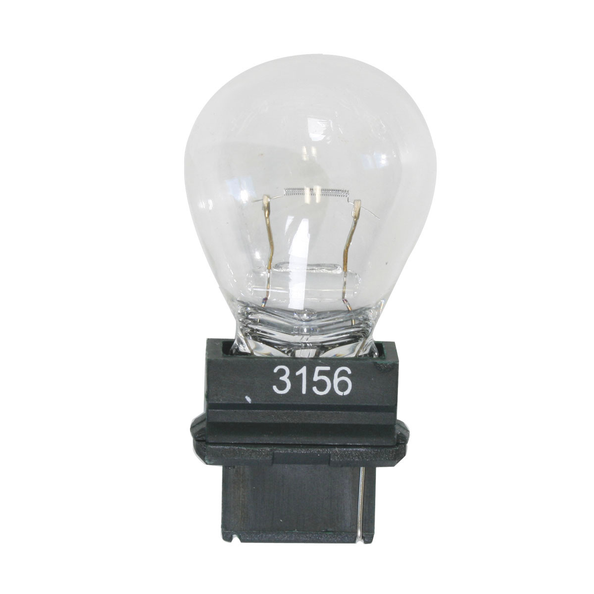 3156 Light Bulb