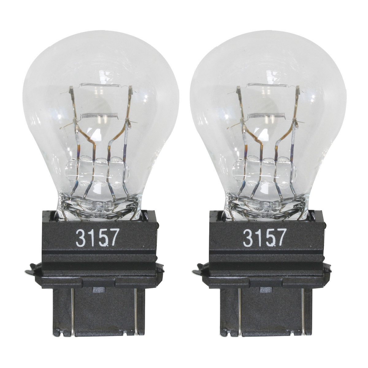 3157 Light Bulb