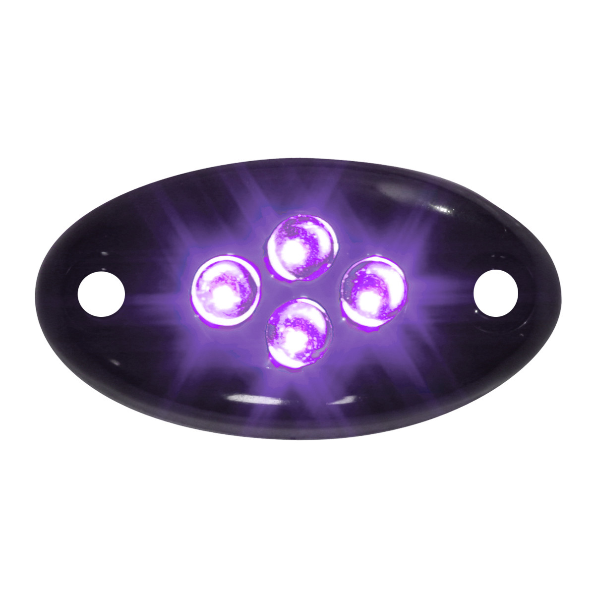 Oval Courtesy LED Light