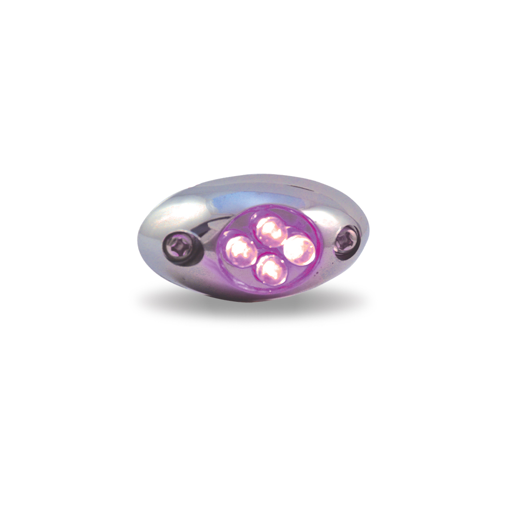 Purple LED Courtesy Light - 4 Diodes