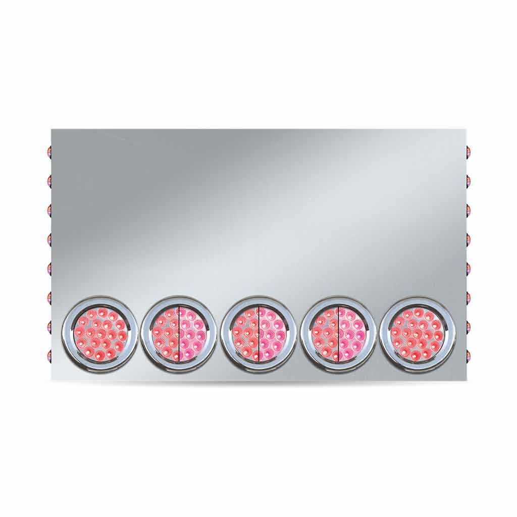 20" Drop Dual LED Rear Center Panel - 4" & 3/4" LEDs (Clear Lens) | 304 Stainless Steel