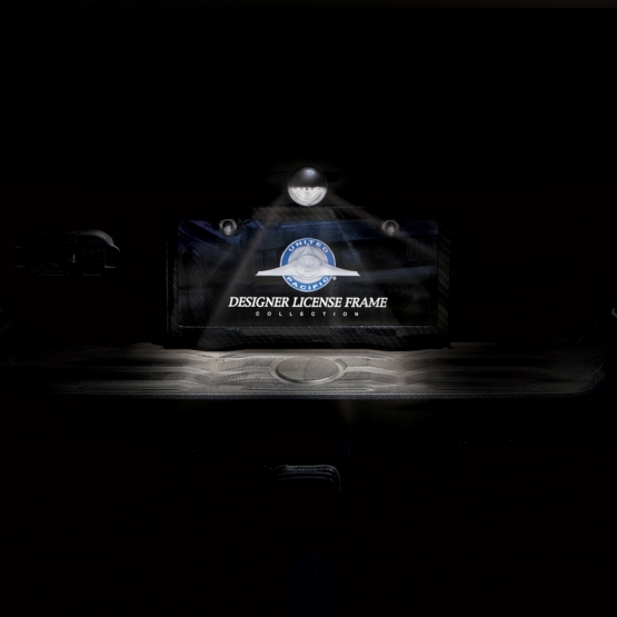 4 LED Round License Light - White LED (Bulk) - Thumbnail 8