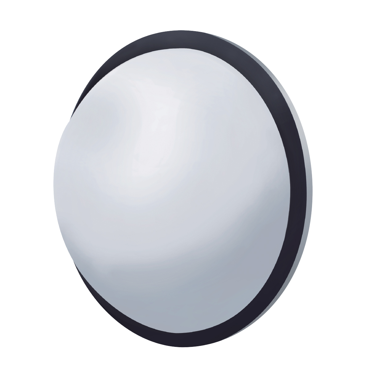 8-1/2" 430 Stainless Steel Full Dome Convex Mirror - Thumbnail 7